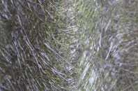 Colaton Raleigh fibreglass roof work